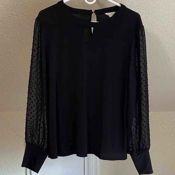 Est. 1946 women’s size large top - Picture 1 of 10